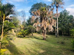 638 m² Land available in King Williams Town