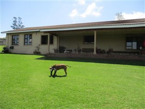 4 Bed House in Manderston
