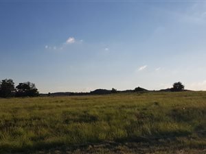 1765 m² Land available in Berg en Dal