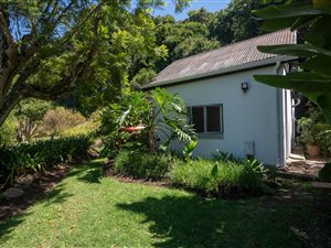 1 Bed Apartment in Wilderness