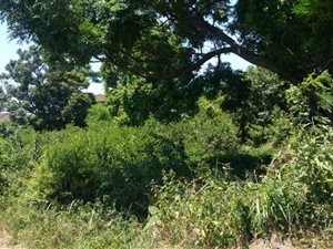 1096 m² Land available in Cato Manor