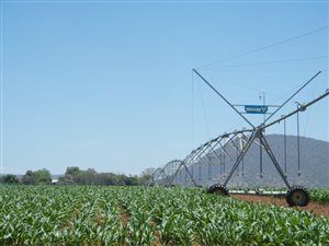 50 ha Farm in Weenen