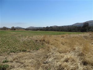 21.4 ha Farm in Schurveberg