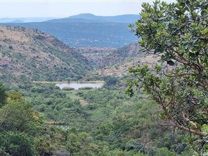 518 ha Farm in Middelburg Central