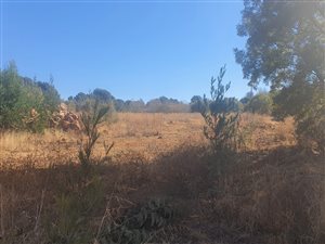 Commercial space in Rietvalleirand