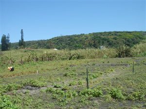 1221 m² Land available in Desainagar