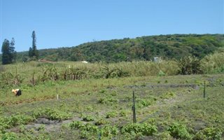 1221 m² Land available in Desainagar