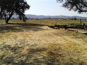 5.4 ha Land available in Zandfontein AH
