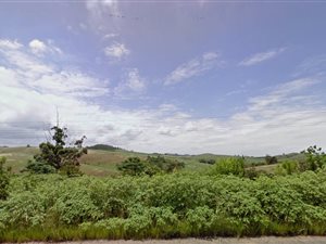 117 ha Farm in Tongaat Central