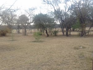 8.8 ha Land available in Onderstepoort