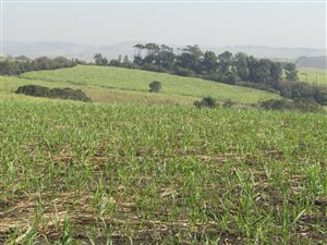 16 ha Farm in Umhlali