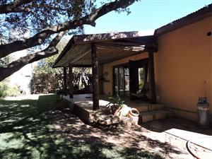 36.8 ha Farm in Koster
