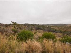 827 m² Land available in Island View