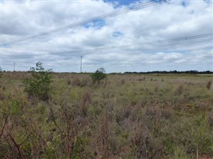 21.4 ha Farm in Grootfontein Estate
