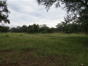 3085 ha Farm in Gravelotte