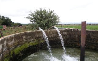 43 ha Farm in Alma