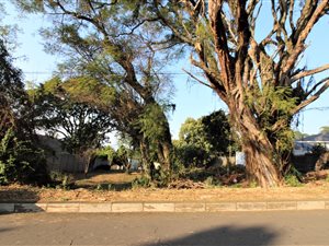 1501 m² Land available in Wembley