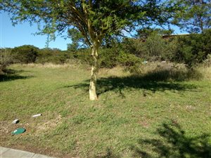 242 m² Land available in Beacon Bay