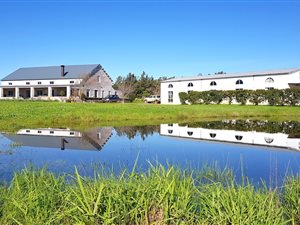 21.5 ha Farm in Wellington Central