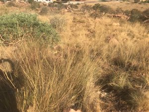 9359 m² Land available in Elandsheuwel