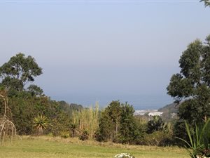 87.2 ha Farm with House in Ramsgate