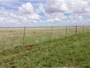 1076.5 ha Farm in Dealesville