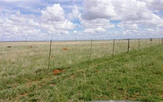 1076.5 ha Farm in Dealesville