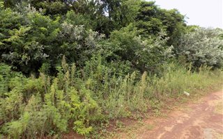 1142 m² Land available in Mtwalume