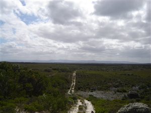 31 ha Farm in Struisbaai