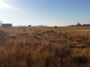 5.4 ha Land available in Honingnestkrans