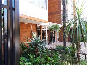 1 Bed Flat in Sunnyside