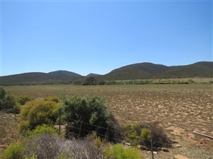 133 ha Farm in Barrydale