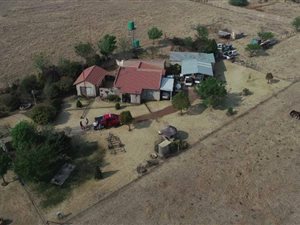 2.3 ha Farm in Nelsonia