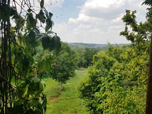 8.6 ha Farm in Zwavelpoort