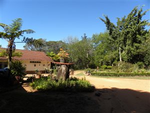 2.3 ha Farm in White River