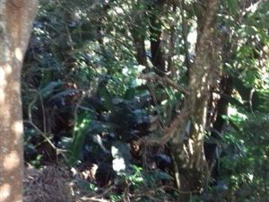 2303 m² Land available in Ramsgate