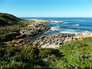 134 ha Farm in Humansdorp