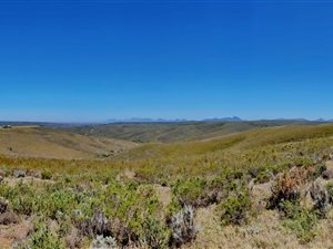 300 m² Land available in Gondwana Game Reserve
