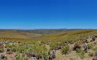 300 m² Land available in Gondwana Game Reserve