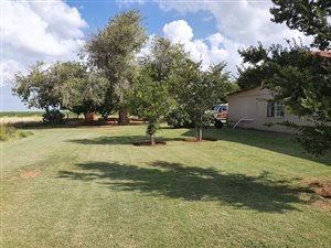 257 ha Farm in Boshof