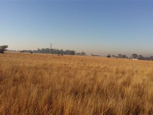 8.5 ha Land available in Honingnestkrans