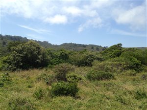 674 m² Land available in Pienaarstrand