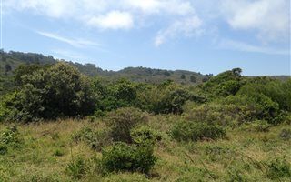 674 m² Land available in Pienaarstrand