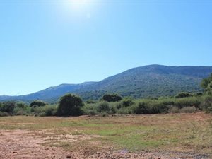 170 ha Farm in Koster