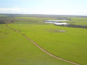 833 ha Farm in Aston Bay