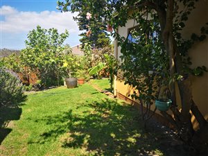 3 Bed House in Ottery