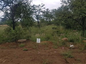 1425 m² Land available in Hazeldean (Silverlakes Surroundings)