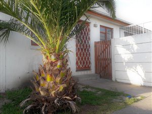2 Bed Apartment in Lotus River