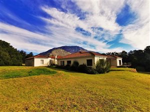 9588 m² Farm in Waboomskraal