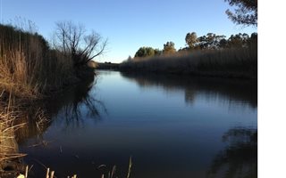 958 ha Farm in Bloemfontein Farms